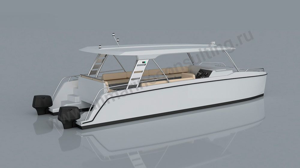RAYCAT-12