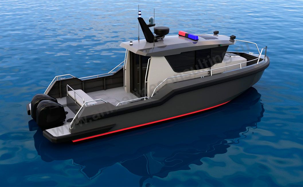 DP10